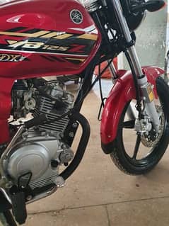 Yamaha