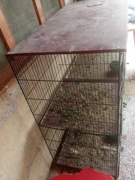 iron cage available in good condition 2