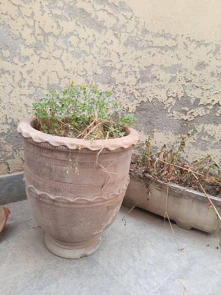 Flower Pots 6