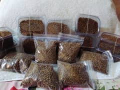 High Protein Fish Feed