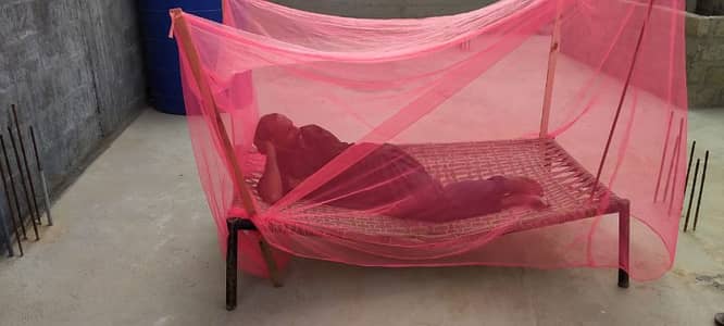 Net mosquito