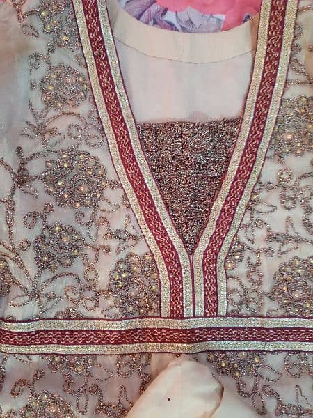 beautiful embroied 0rganza dress in skin color 0