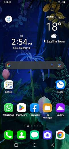 LG