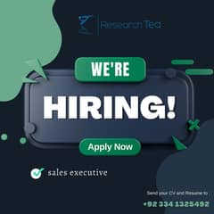 International Sales Executive