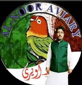 Allnoor