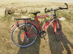 sport