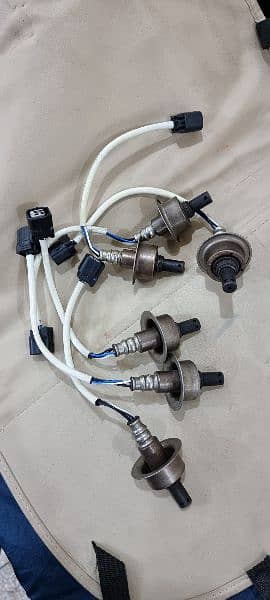 Honda Civic reborn Oxygen sensor and all parts available 0