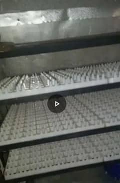 hen chicks incubator