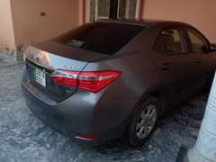 corolla