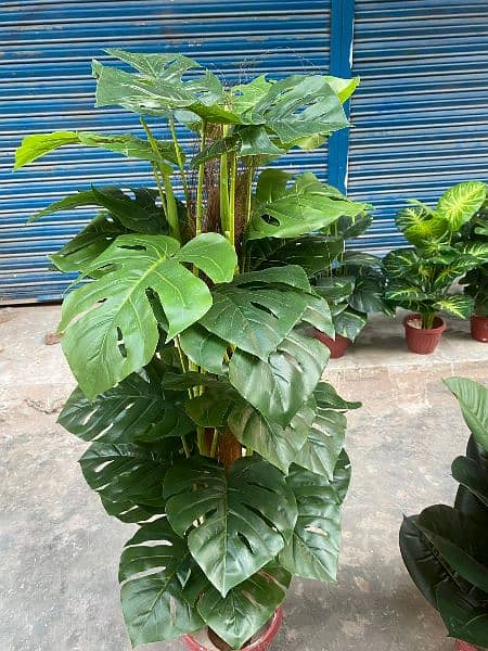 Artificial Plants and Flowers in Different Designs 2