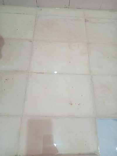 bathrooms leakage ki behtreen solutions hy mere pas