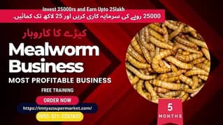 2 RS Darkling Beetle Larvae | Mealworm | USA Golden Breed