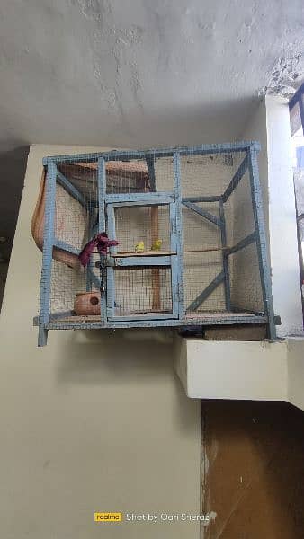 Cage for sale