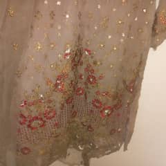 Embroidery chiffon dress/party wear
