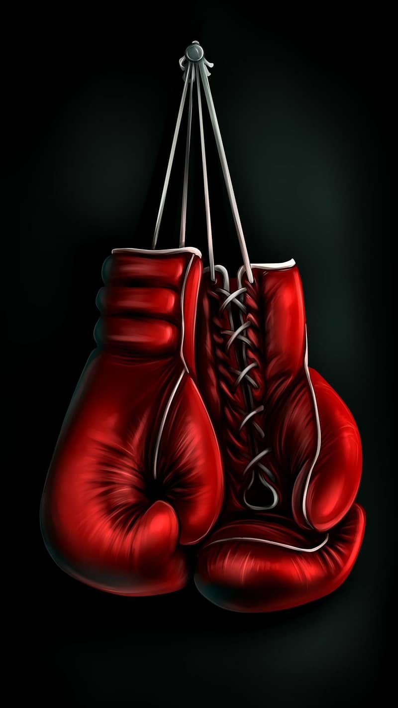 Gym MMA UFC mixed martial arts  venom judo karate Boxing gloves glove 3