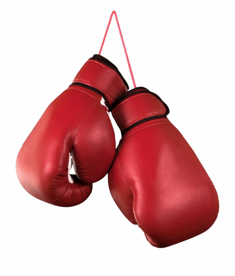 Gym MMA UFC mixed martial arts  venom judo karate Boxing gloves glove 5