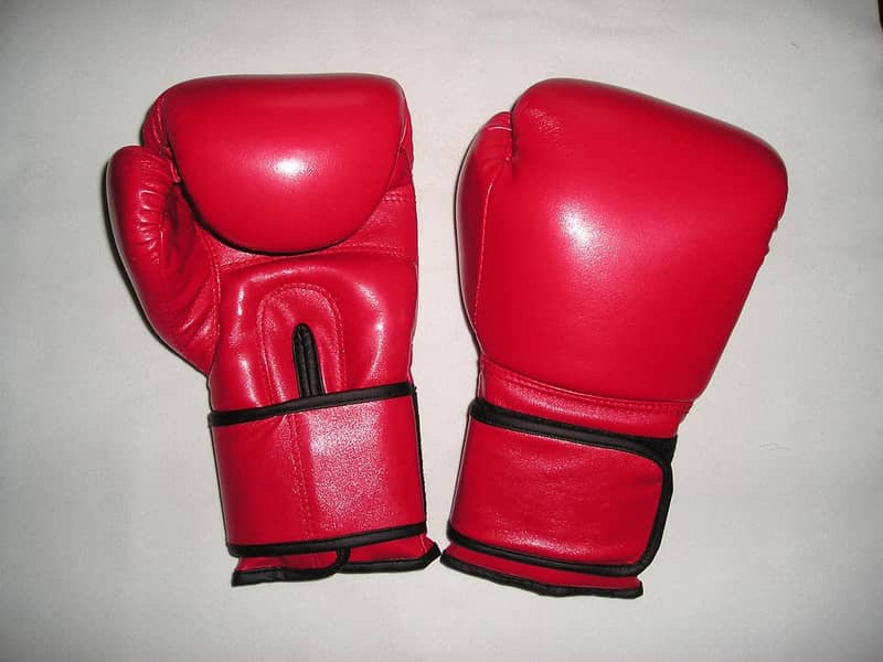 Gym Leather boxing gloves manufacture 8oz 10 oz 12oz grant focus pad 5