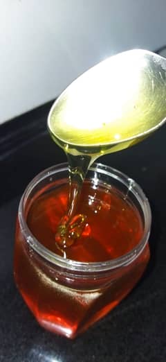 Acacia Honey