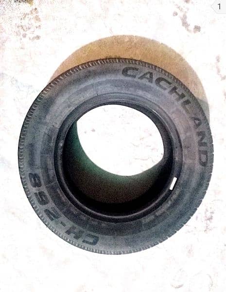 Cultus Old model Car Tyres Cachland & joyroad   175-70-13 aone 2