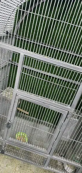 Khud tayar krwaya hai cage heavy weight wire with Back full wall grass — photo 4