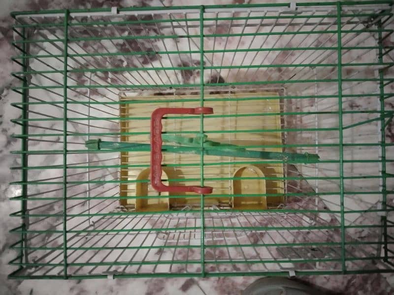 parrot cage 2