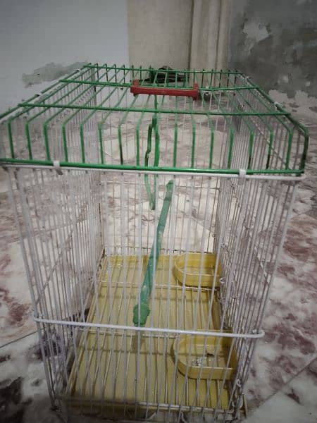 parrot cage 3