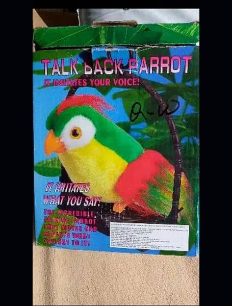 talking toy parrot reasonable price 0