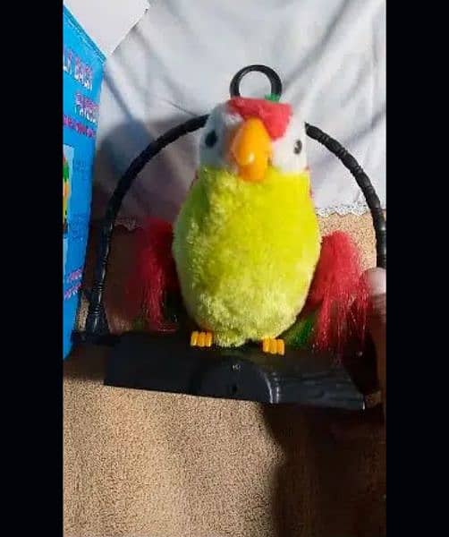 talking toy parrot reasonable price 1