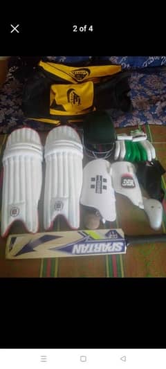 cricket