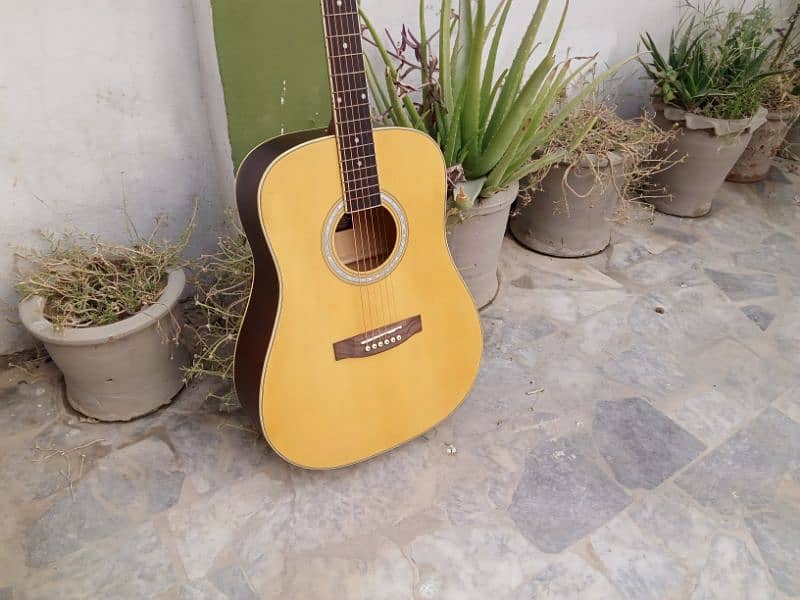 Eko Brand Acoustics Guitar 1