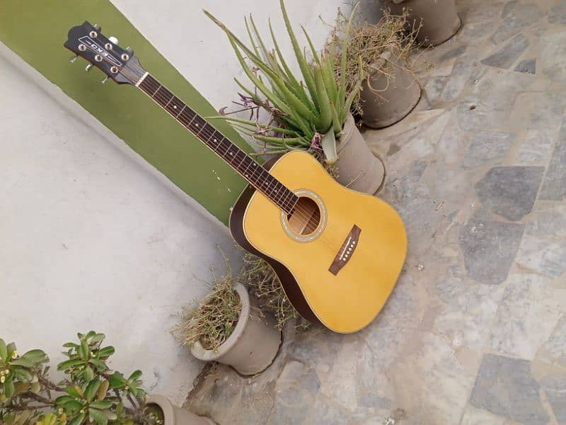 Eko Brand Acoustics Guitar 2