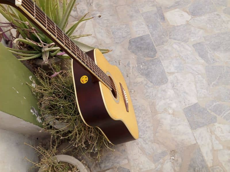 Eko Brand Acoustics Guitar 4