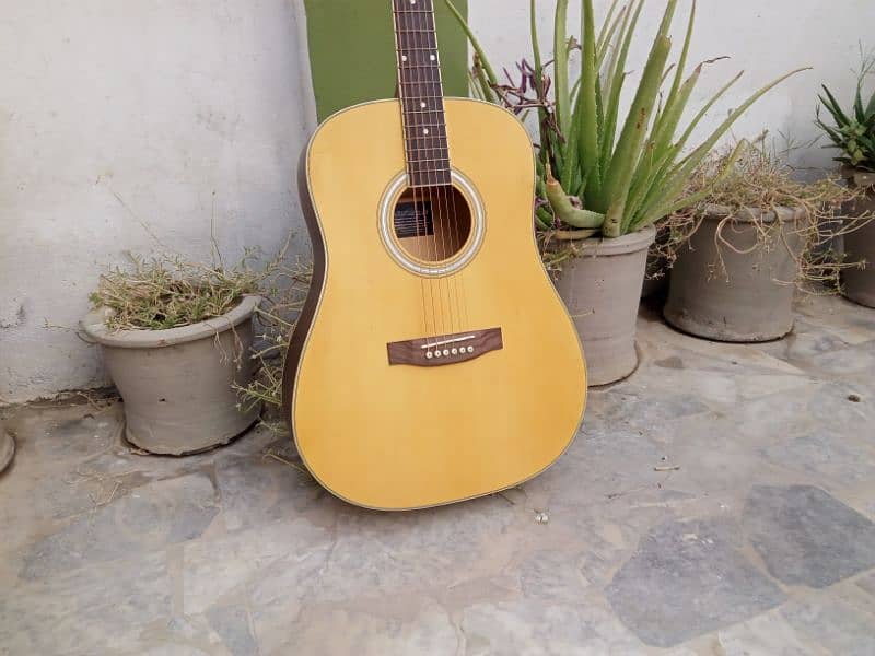 Eko Brand Acoustics Guitar 5