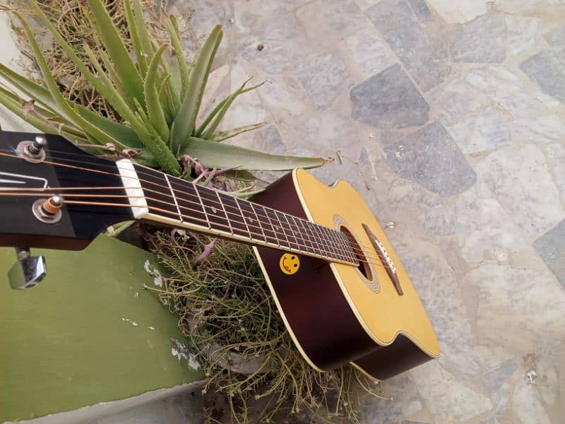 Eko Brand Acoustics Guitar 6