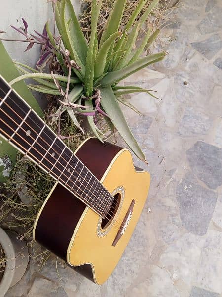 Eko Brand Acoustics Guitar 8