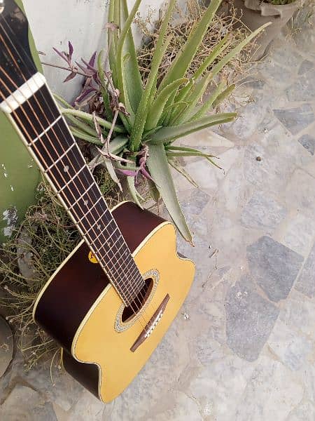 Eko Brand Acoustics Guitar 9