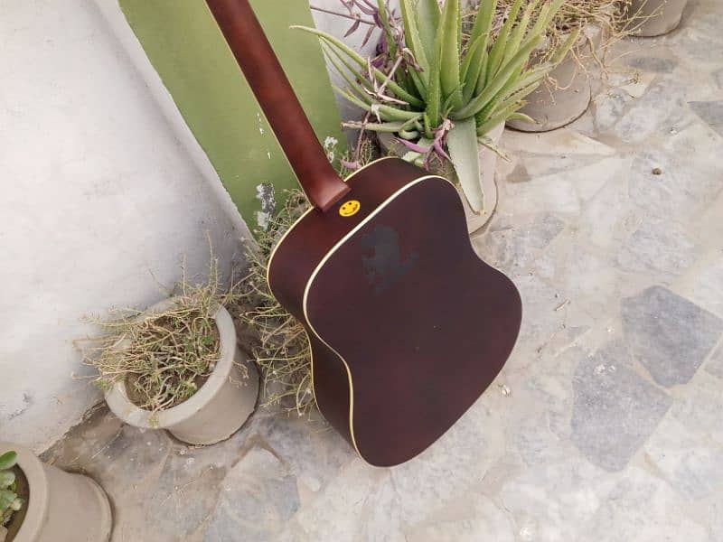 Eko Brand Acoustics Guitar 19