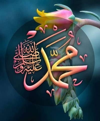 dove lover and active piece