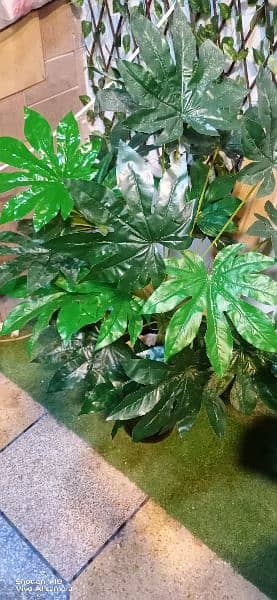 Artificial plants, indoor Washable plants, see pictures, A+ quality 8