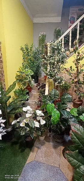 Artificial plants, indoor Washable plants, see pictures, A+ quality 16