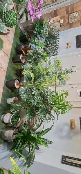 Artificial plants, indoor Washable plants, see pictures, A+ quality 17