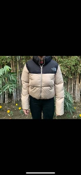 north face puffer jacket 0