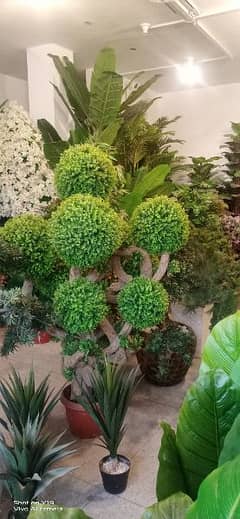 Indoor Artificial plants, washable, see pictures, A+ Quality.