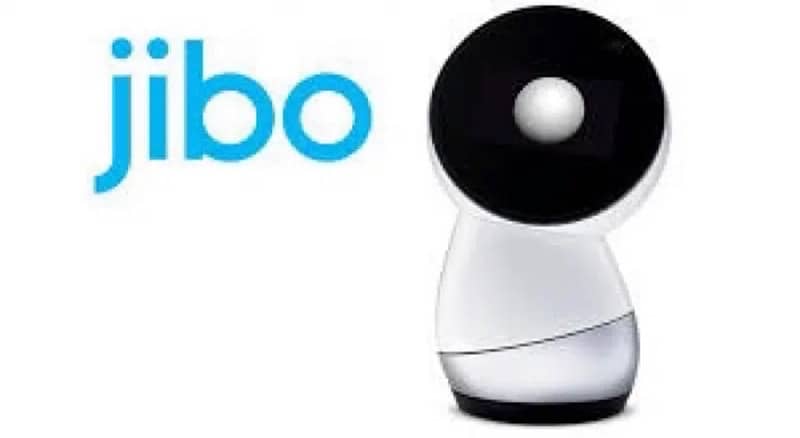 Jibo Robot | Loneliness companion 1