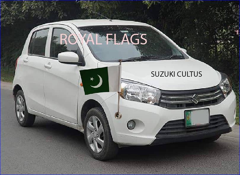 Flag of pakistan for Car & car pole 3