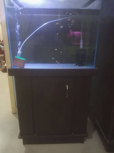 2 feet aquarium