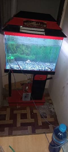 2/2ft aquarium