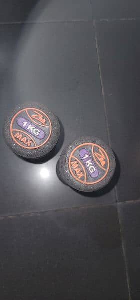 rubber dumbells 1 kg pair 1