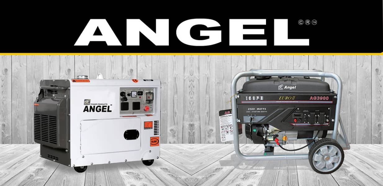 Petrol/Gas/Diesel Portable Generator Sets Available 4