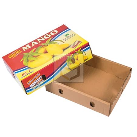 Corrugated Master Cartons Readymade & Customised Boxes 13
